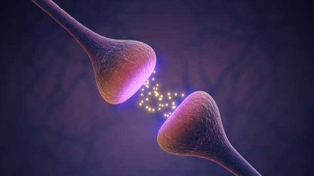 Neuroplasticity and Depression: Can You Really Rewire Your Brain for Joy?