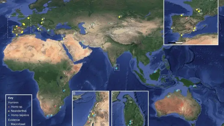 Early Humans Didn’t Live on Meat Alone — They Ground Seeds, Cooked Tubers, and Detoxified Nuts