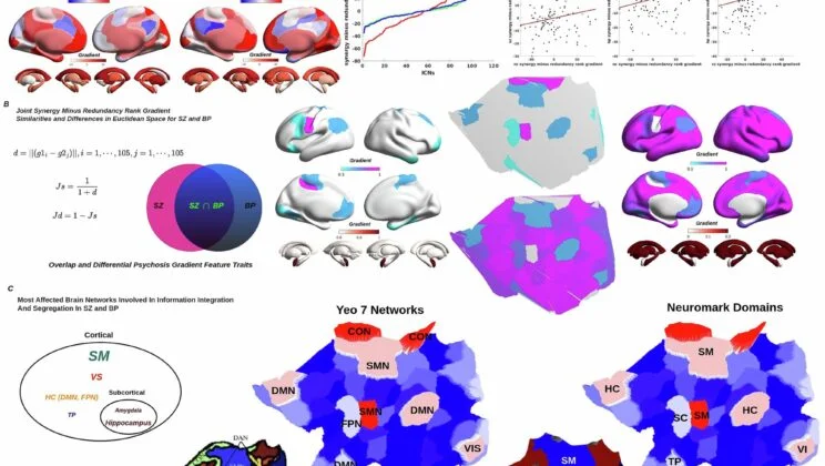 Scientists Discover Why Psychotic Minds Experience Reality Like a Trembling Web