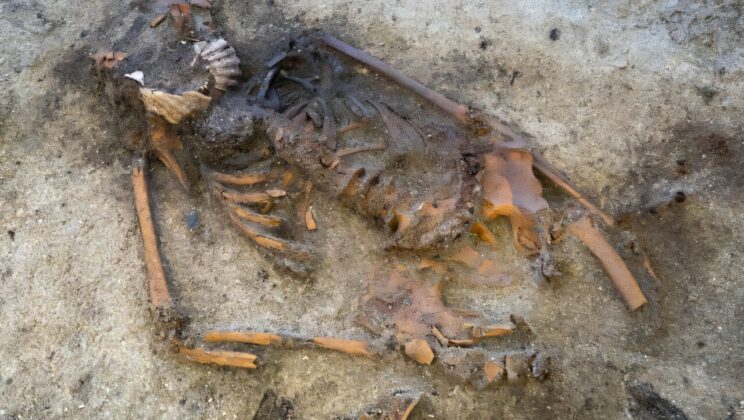 Archaeologists Uncover Viking Woman Buried With Mysterious Shells Over Her Mouth