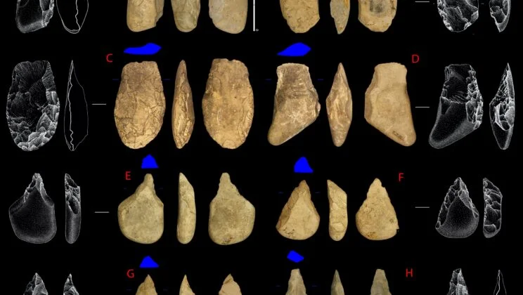 Early Humans Didn’t Just Survive Here, They Planned, Returned, and Innovated