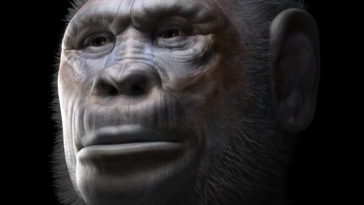 The First Humans to Leave Africa Might Not Have Been One Species After All