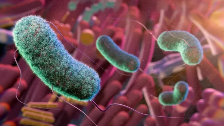 Your Microbiome Just Got a Health Score and It May Explain More Than You Think