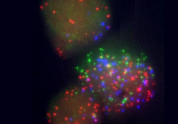 5 Future Technologies That Will Extend the Human Lifespan