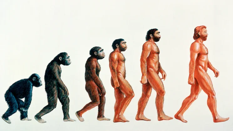 7 Missing Links in the History of Human Evolution