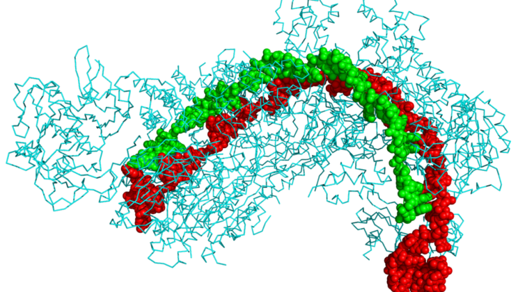 10 Ways CRISPR Is Currently Curing Genetic Diseases