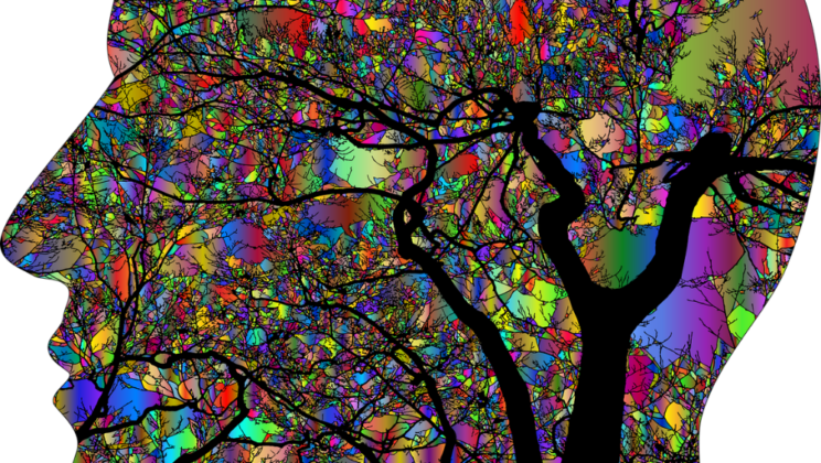 12 Facts About the Psychology of Color