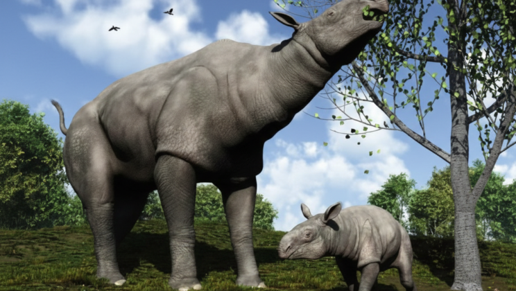 11 Giant Creatures That Ruled the Earth After the Dinosaurs