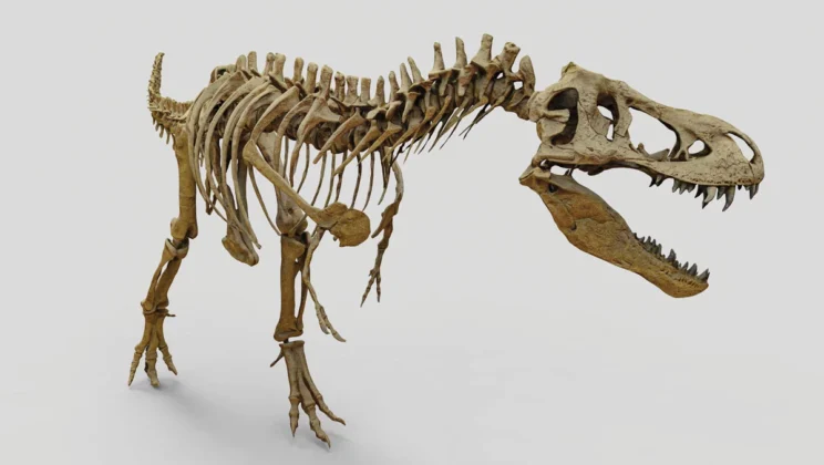 15 Biggest Discoveries in the History of Paleontology