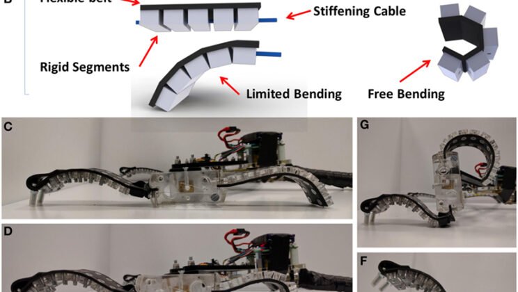 Soft Robotics: Why the Future of Robots Is Squishy, Not Metallic