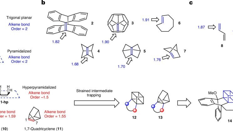 Scientists Successfully Created Cage-Shaped Molecules That Shouldn’t Exist