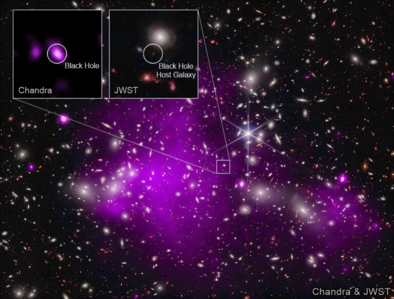 The Universe’s First Stars May Have Been Powered by Dark Matter Instead ...