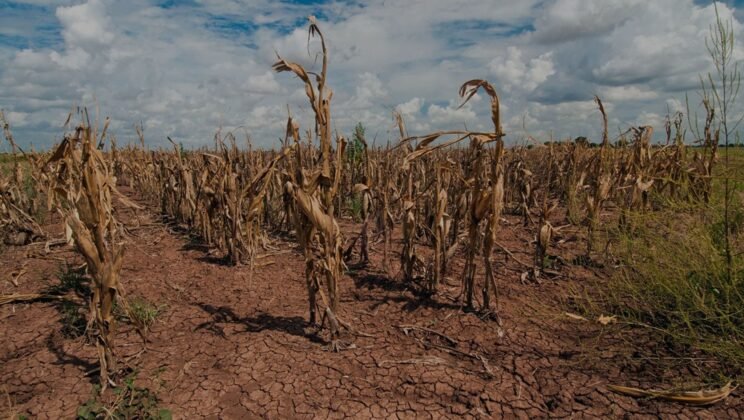 9 Most Extreme Weather Patterns Ever Recorded