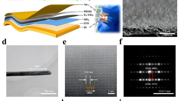 This New Artificial Skin Can Feel Temperature and Motion All at Once