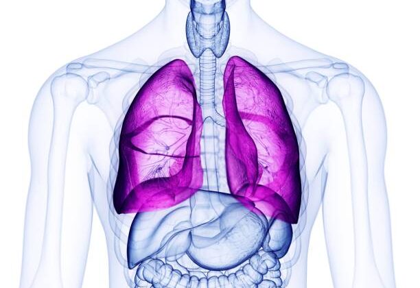 Scientists Finally Create a Human Lung on a Plastic Chip Using Only One Person’s Cells