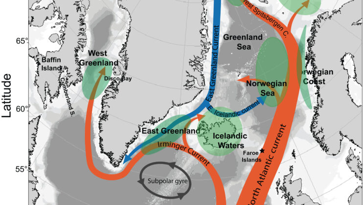 The Marine Heat Wave That Traveled 2,000 Kilometers and Sank to the Deep Ocean