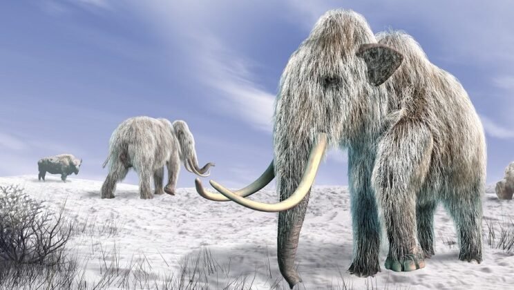 8 Ancient Species That Could Be Brought Back by De-Extinction