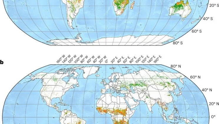 The Earth Is Losing 8 Billion Tons of Soil Every Year to the Ghost of Old Wildfires