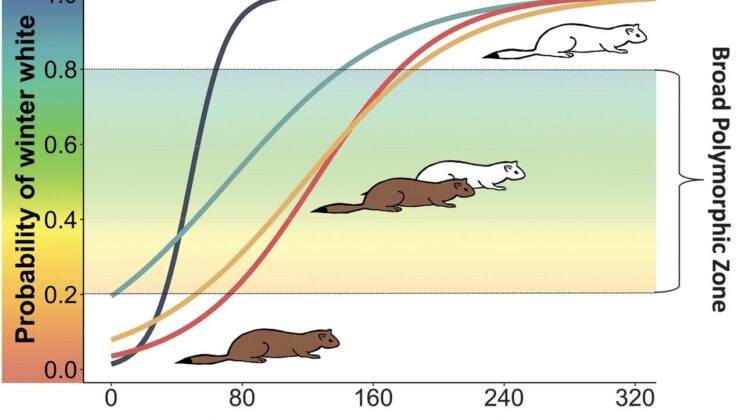 Only 21 Species on Earth Can Do This, and Colorado is Home to Four of Them