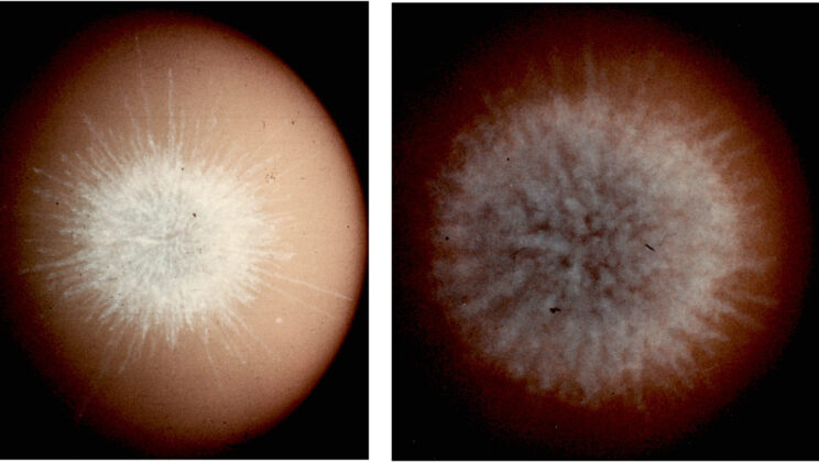 Astronomers Solve the 850 Year Old Mystery of the Sky’s Most Bizarre Frozen Firework