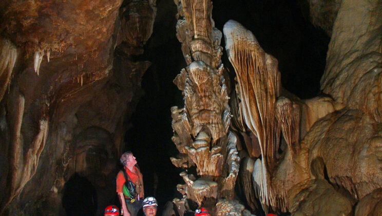 The Real-Life ‘Hobbits’ Disappeared 50,000 Years Ago. We Finally Know Why