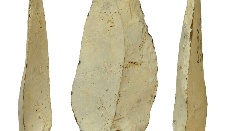 8 Surprising Tools Our Ancestors Used 50,000 Years Ago