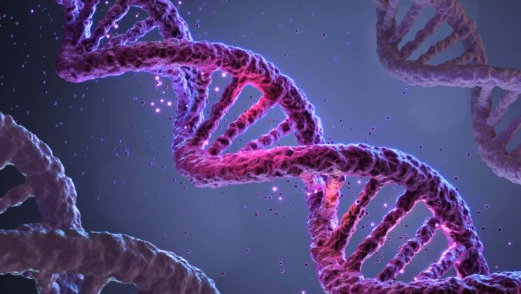 Junk DNA: Is the 98% of Our Genome Really “Useless”?