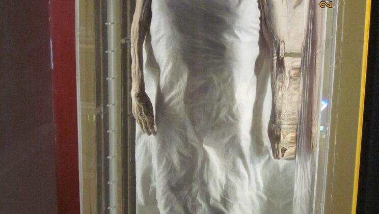 10 Fascinating Finds from the Han Dynasty