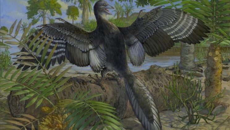 8 Fossil Discoveries That Changed Our Understanding of History