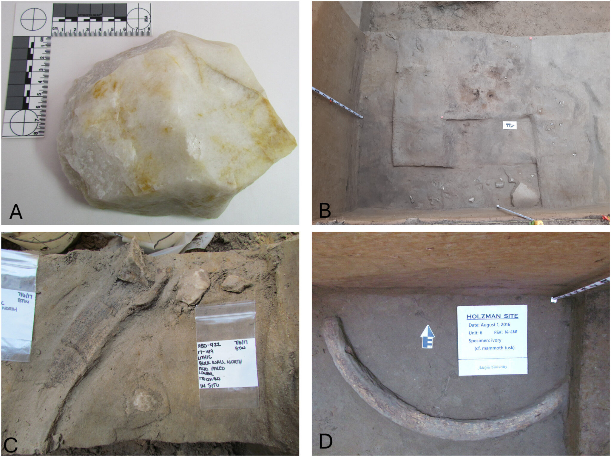 Scientists Found a 14000 Year Old Mammoth Workshop That Changes Everything