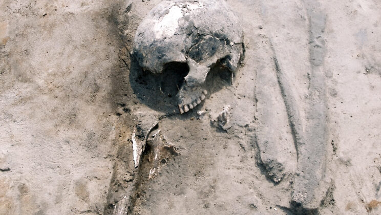 Ancient Bones Are Spilling 3000 Years of Secrets About How Humans Actually Lived