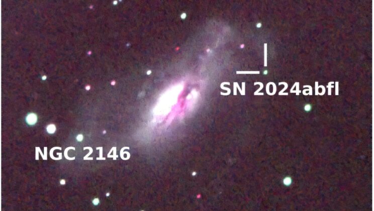 This Distant Stellar Explosion Stayed Bright for 126 Days and No One Expected It