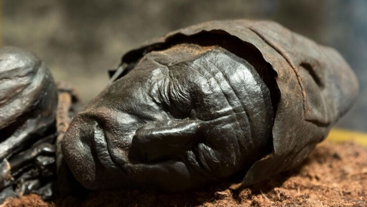 The Mystery of the Bog Bodies: 7 Best-Preserved Finds