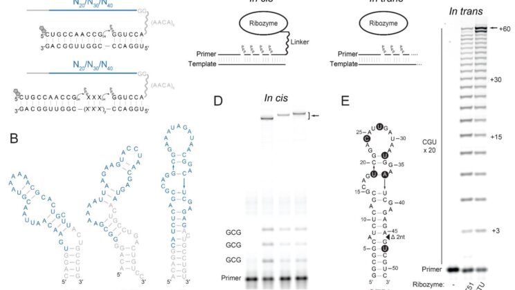 This Tiny Molecule Might Solve the Biggest Mystery of How Life Began