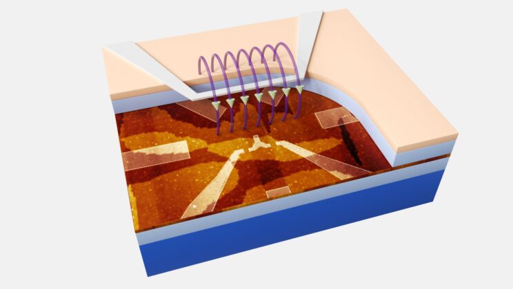 Silicon Quantum Computers Can Now Catch Their Own Mistakes Without Crashing