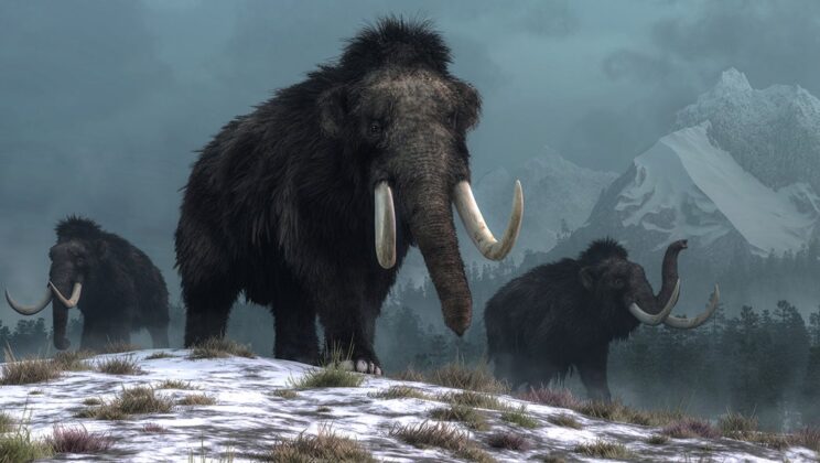 6 Ice Age Giants That Lived Alongside Humans