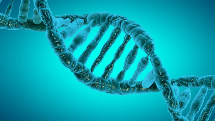 The Ghost in Your Genes: How Epigenetics Remembers Your Ancestors’ Lives