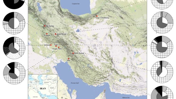 Scientists Found the World’s Oldest Milk Spills Hidden Inside Iranian Pottery