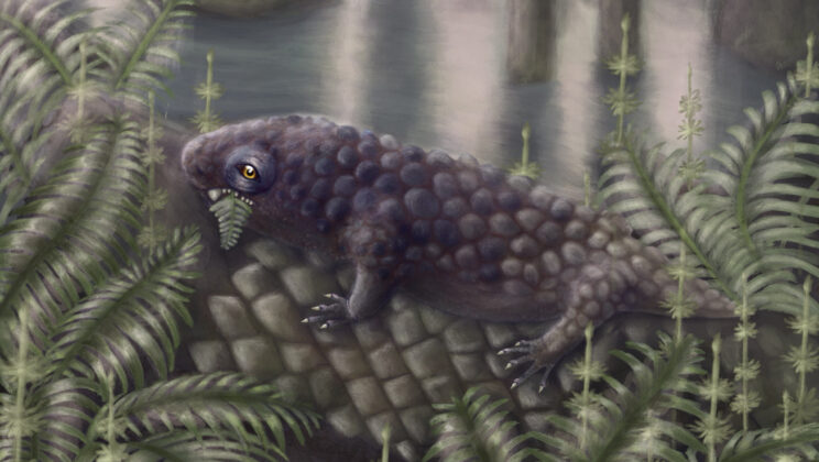 Scientists Found a 300 Million Year Old Tyrant Digger That Chose Plants Over Prey