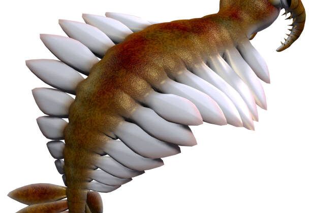 8 Bizarre Prehistoric Creatures That Look Like Aliens