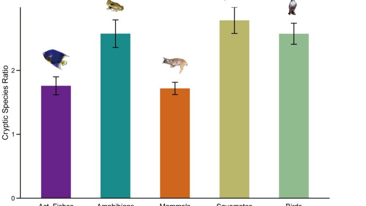 DNA Evidence Suggests the Number of Animal Species on Earth Just Doubled