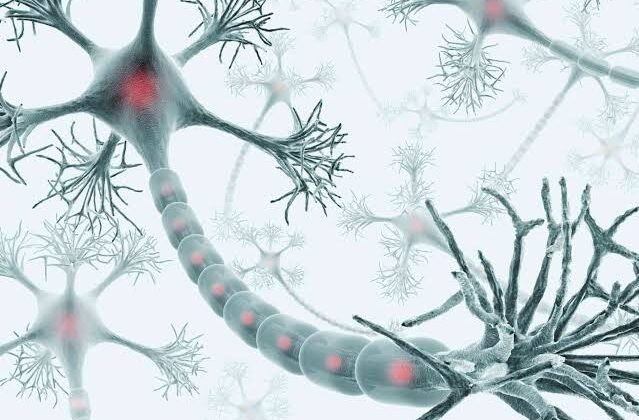 Bioluminescence in the Brain: Can We Use Light to Control Neurons?