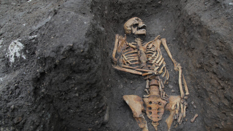 5 Incredible Stories of DNA Recovered from Ancient Bones