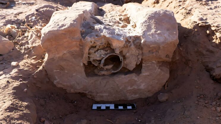 Archaeologists Found a Secret High Tech Pipeline Hidden Beneath the Sands of Petra