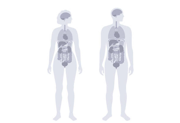 20 Weird Human Body Facts That Sound Fake But Are 100% True