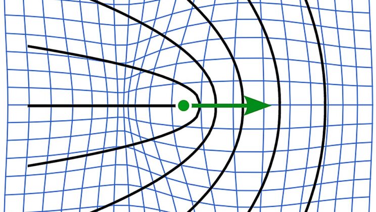 Living Tissue Is Sculpted by Secret Restless Imperfections That Move With Purpose