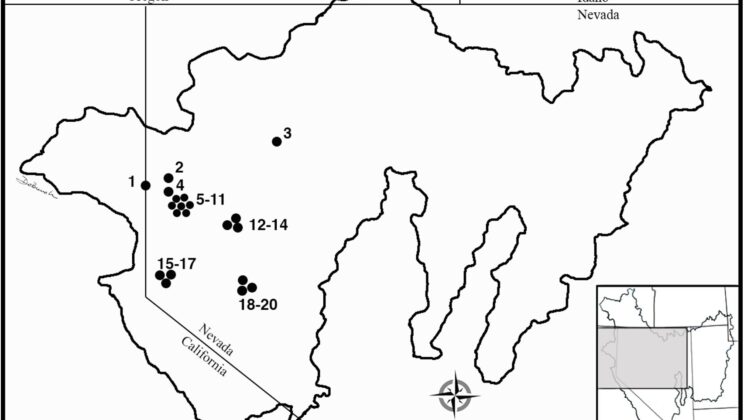 Ancient Nevada Cave Burials Were Not the Mystical Mystery We Thought