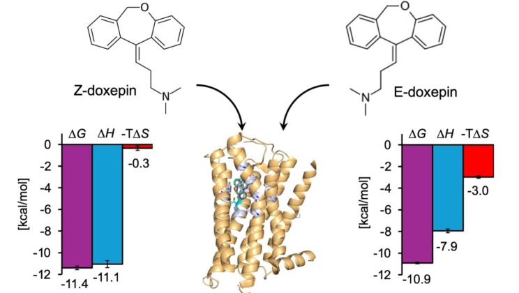 This Tiny Molecular Sentinel Inside Your Cells Decides How Your Body Heals