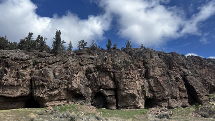 This 12,000 Year Old Piece of Seam Is the Oldest Sewn Material Ever Found