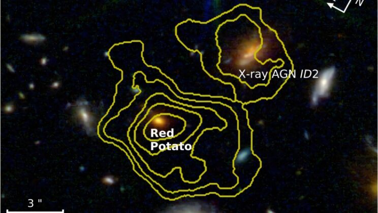 The James Webb Telescope Found a Massive Red Potato Hiding in the Early Universe